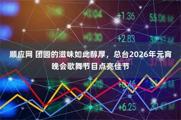 顺应网 团圆的滋味如此醇厚，总台2026年元宵晚会歌舞节目点亮佳节